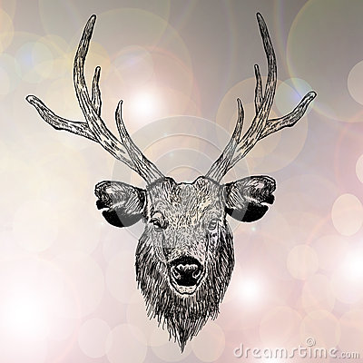 400x400 Drawn Reindeer Face - Reindeer Face Drawing
