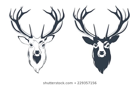 455x280 Huge Collection Of 'reindeer Head Drawing' Download More Than - Reindeer Head Drawing