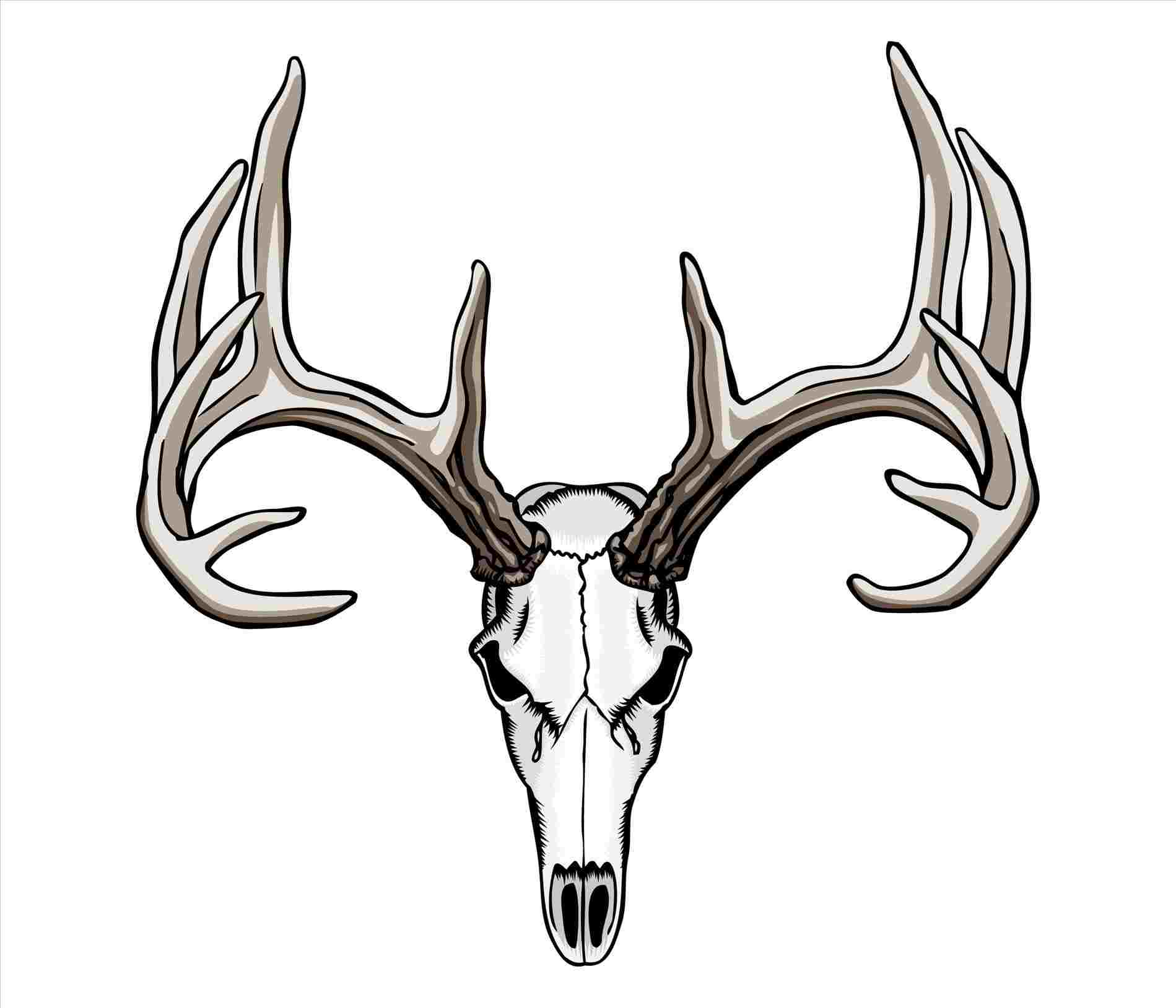 1899x1628 Easy To Draw Deer Head Tattoos Meaning Jewelry Designs - Reindeer Head Drawing