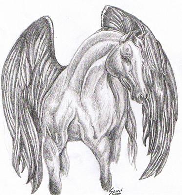 373x400 horse drawings - Reining Horse Drawings