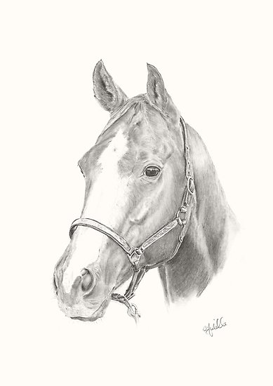 389x550 quarter horse posters - Reining Horse Drawings
