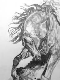 194x259 reining the place with the things and the stuff horse art - Reining Horse Drawings