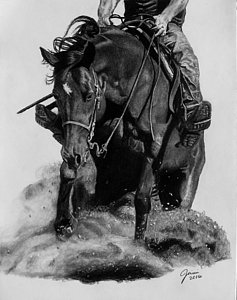 Reining Horse Drawings at PaintingValley.com | Explore collection of ...