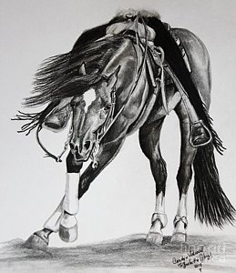 259x300 reins drawings - Reining Horse Drawings