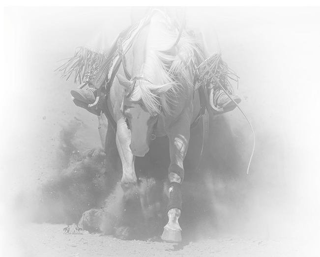 651x523 swqha show schedule - Reining Horse Drawings