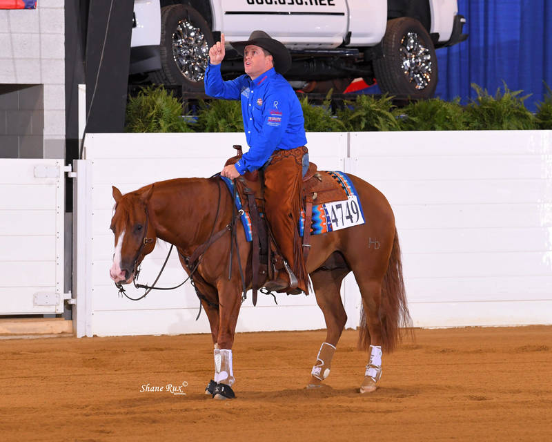 800x640 americas supermodel wins all american quarter horse congress - Reining Horse Drawings