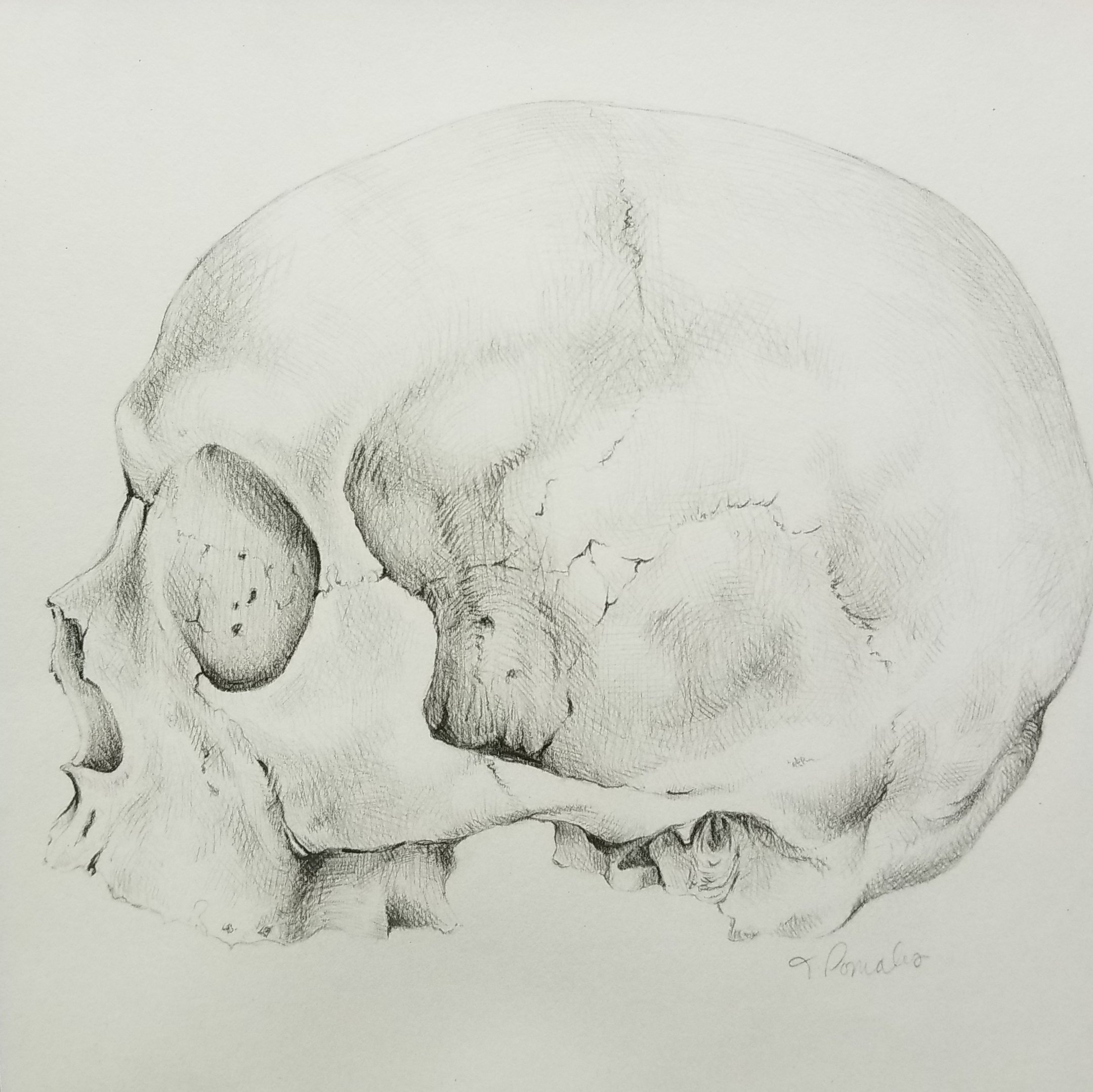 2160x2159 reminder i original graphite drawing tania pomales fine art - Reminder Drawing