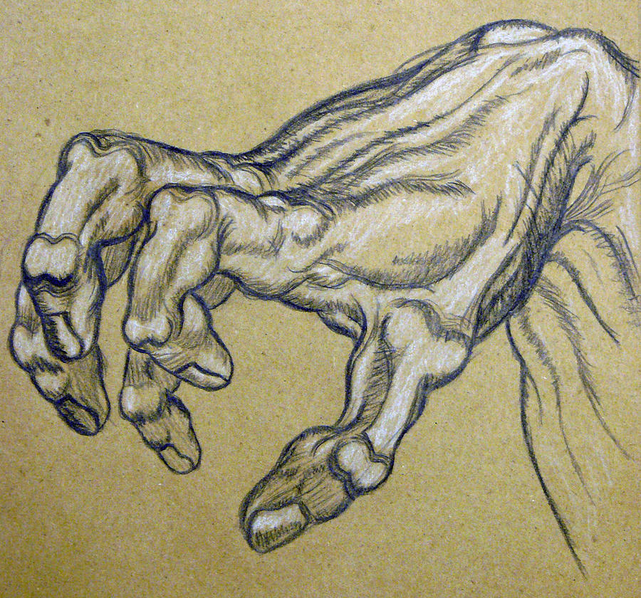 900x840 renaissance hand drawing - Renaissance Art Drawings