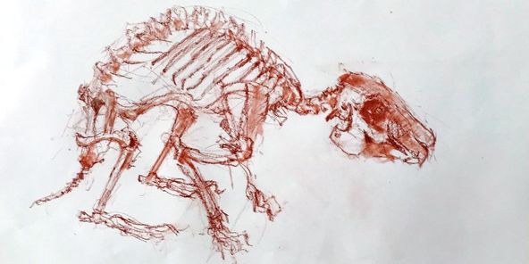 592x296 Sold Out - Representational Drawing