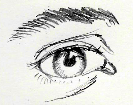 429x341 weekly - Representational Drawing