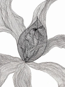 224x300 essence of women drawing - Representational Drawing