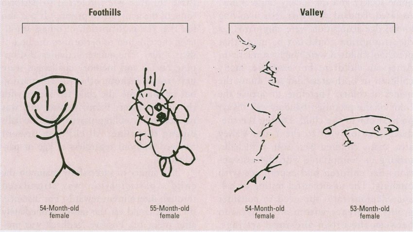 850x477 Representative Drawings Of A Person - Representative Drawing