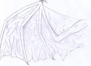 320x234 draw reptile wings steps - Reptile Drawing