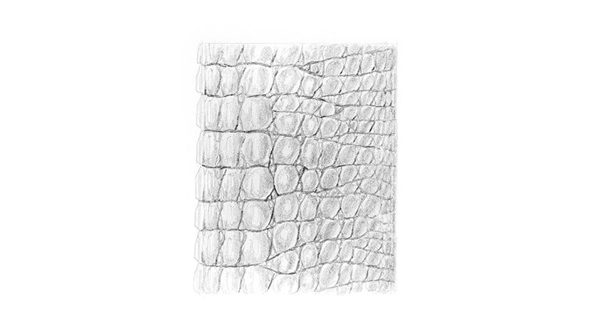 850x458 how to draw scales - Reptile Drawing