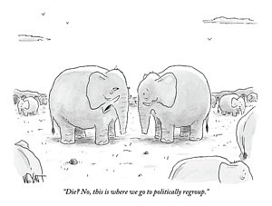 300x227 Republican Elephant Drawings Fine Art America - Republican Elephant Drawing