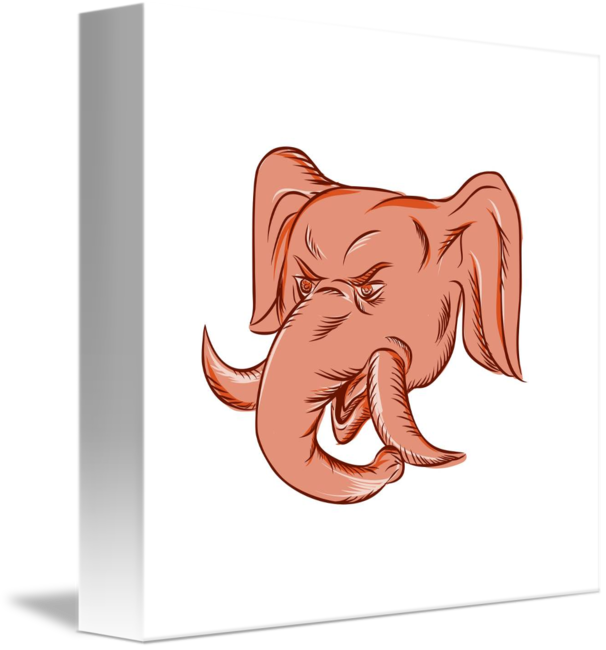 606x650 Republican Elephant Mascot Head Etching - Republican Elephant Drawing