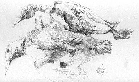 472x280 drawing research interest group - Research Drawing