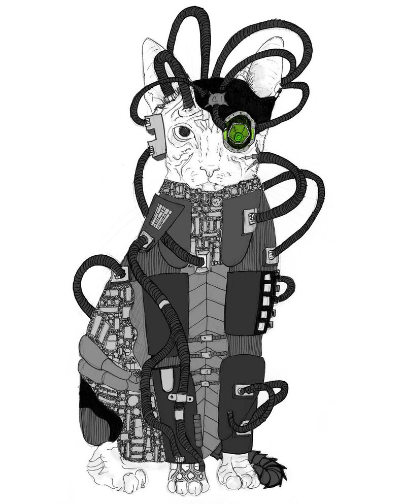 794x993 star trek borg cat drawing star trek next generation fan art etsy - Resistance Drawing