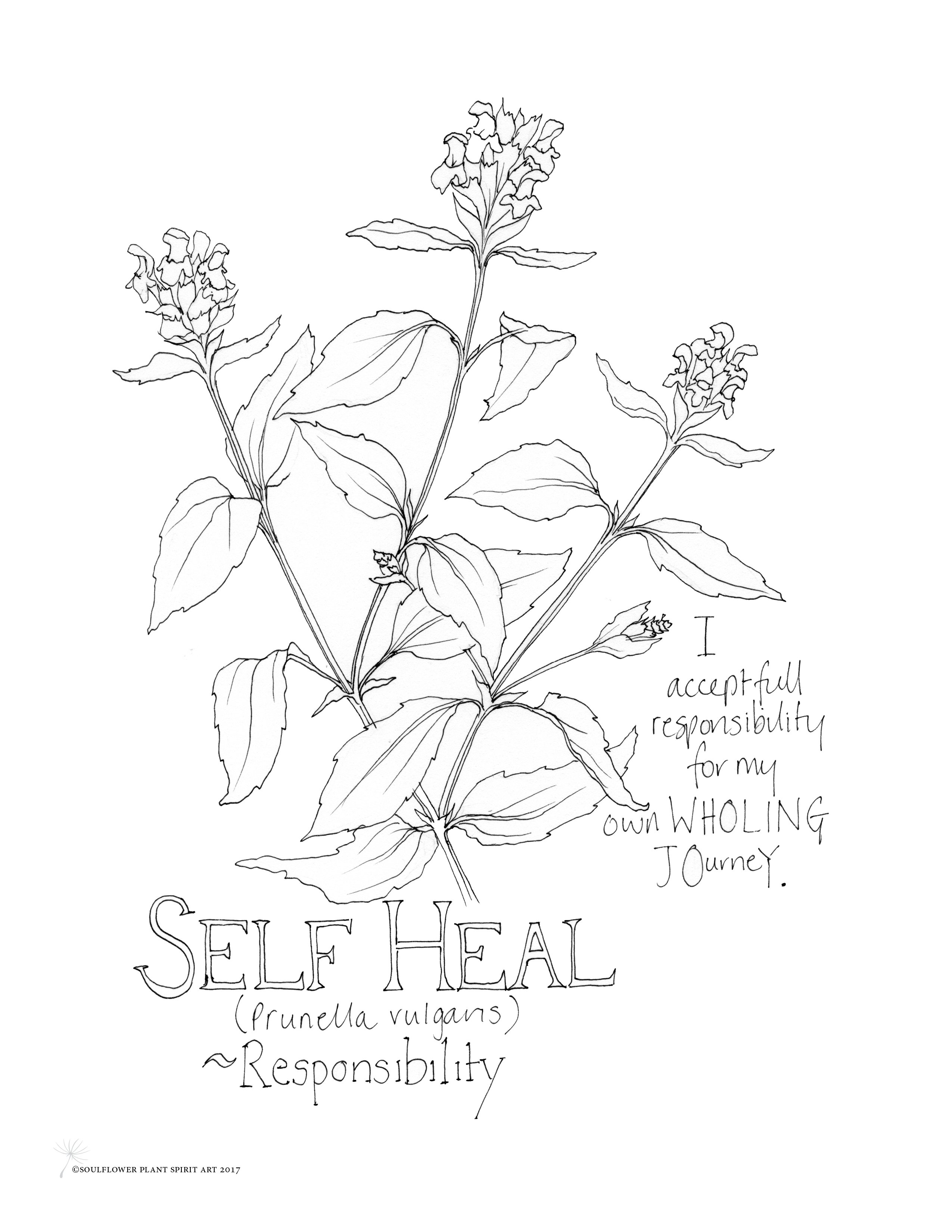 2550x3300 Self Heal - Responsibility Drawing