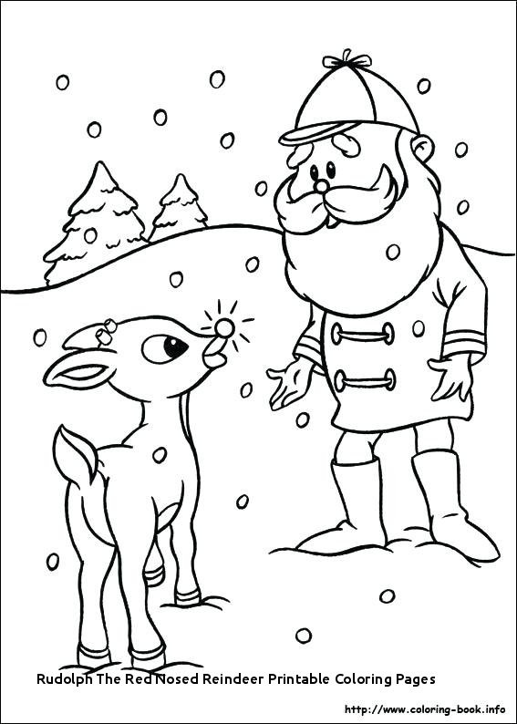 567x794 rudolph the red nosed reindeer drawing rudolph red nose reindeer - Restaurant Drawing Easy