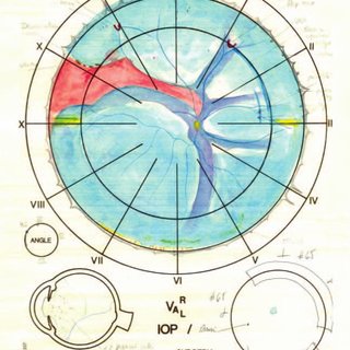 320x320 pdf retinal drawing a lost art of medicine - Retinal Drawing