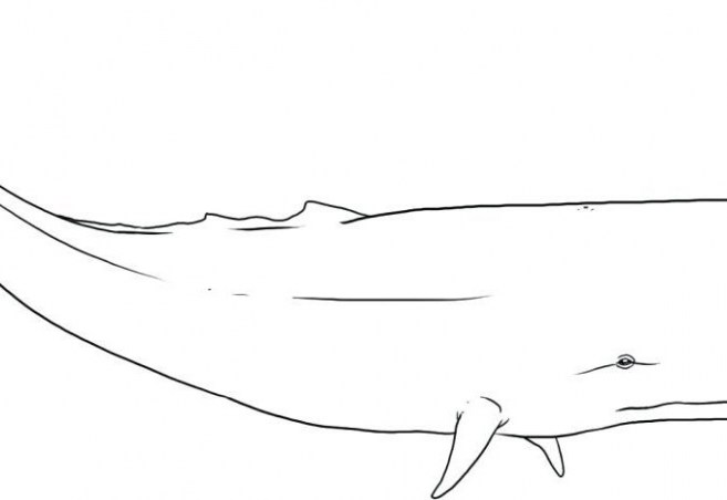 657x452 Rey Mysterio Mask Coloring Games Fabulous Drawing Coloring Pages - Rey Mysterio Mask Drawing