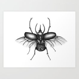 264x264 rhino beetle art prints - Rhino Beetle Drawing