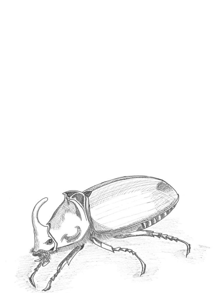 750x1000 sketch rhinoceros beetle graphic t shirt dress - Rhino Beetle Drawing