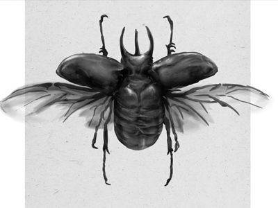 400x300 rhinoceros beetle drawing - Rhino Beetle Drawing