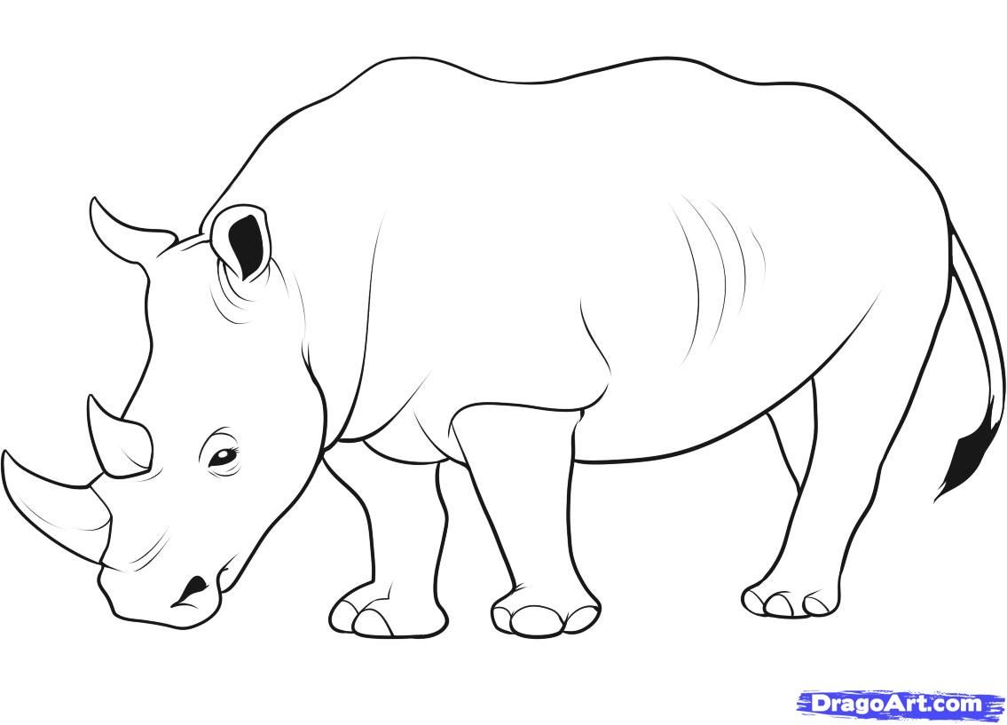 1135x817 how to draw a rhino step art sketchbook, sketching, illustarting - Rhino Cartoon Drawing