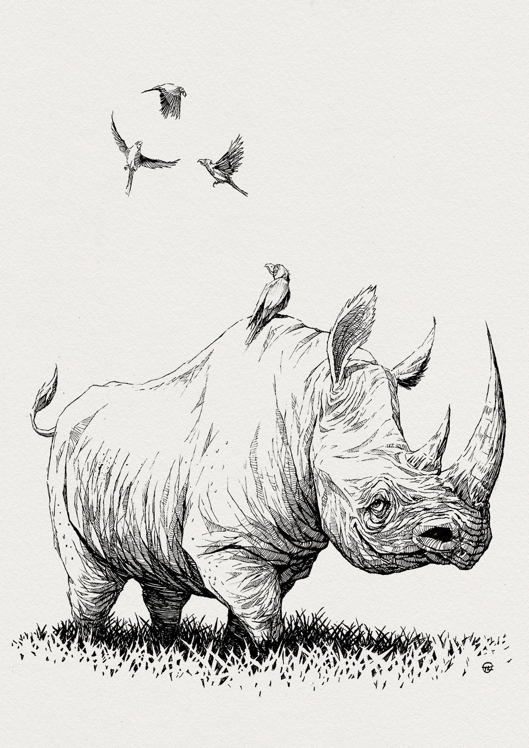Rhino Drawing