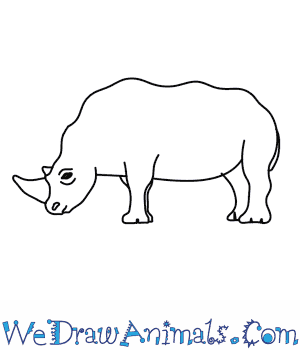 300x350 how to draw a rhino - Rhino Drawing