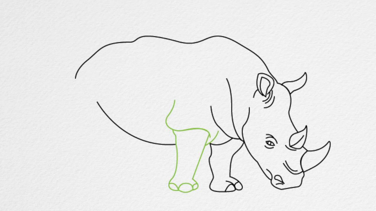 1280x720 how to draw a rhino or rhinoceros step - Rhino Drawing