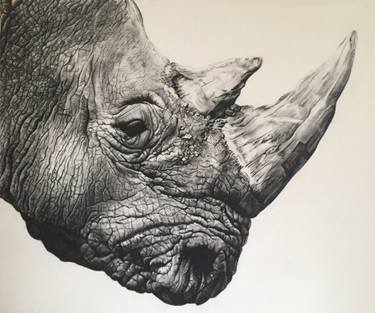 375x313 northern white rhino - Rhino Drawing