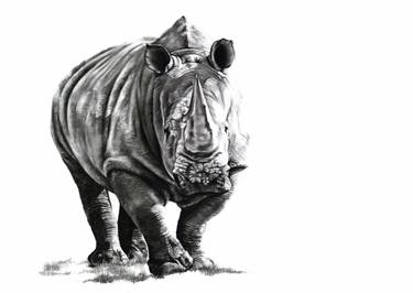 375x266 rhino walk drawing - Rhino Drawing