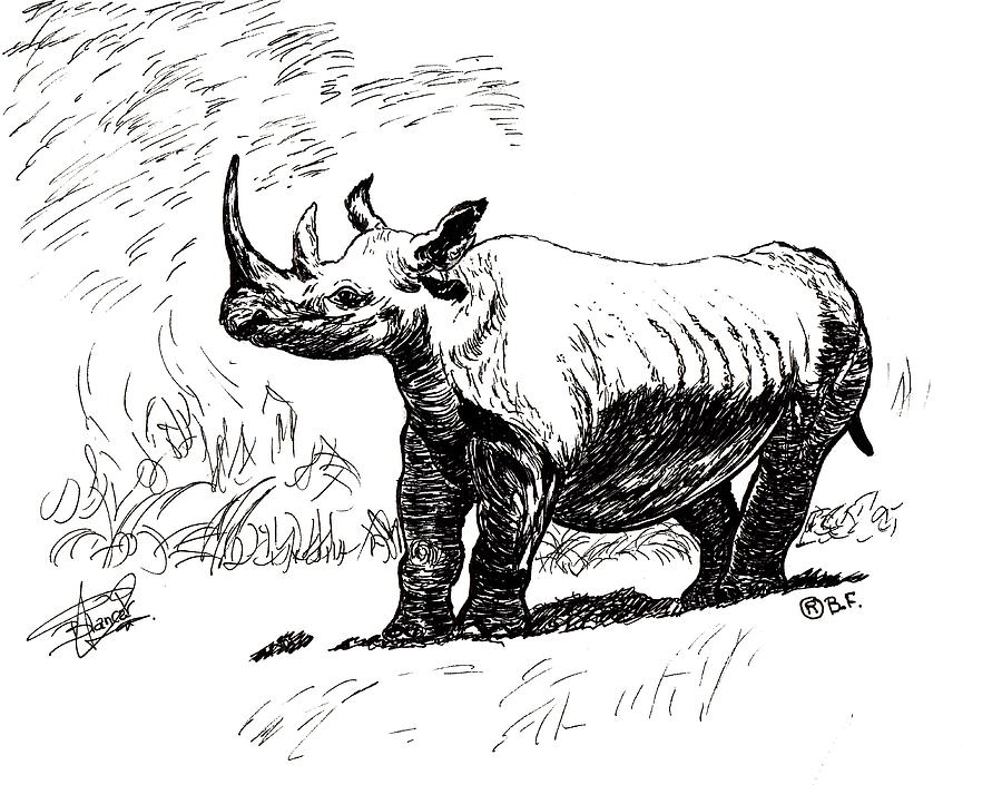 900x705 rhino drawing - Rhino Drawing