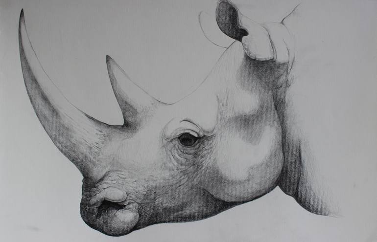 770x495 white rhino drawing - Rhino Drawing