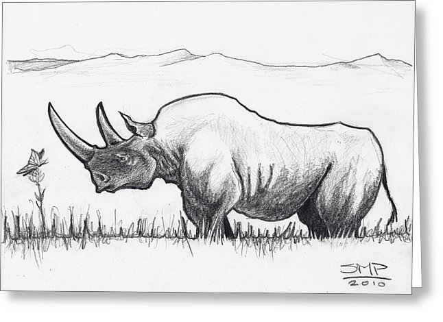 646x470 black rhino and butterfly drawing - Rhino Drawing