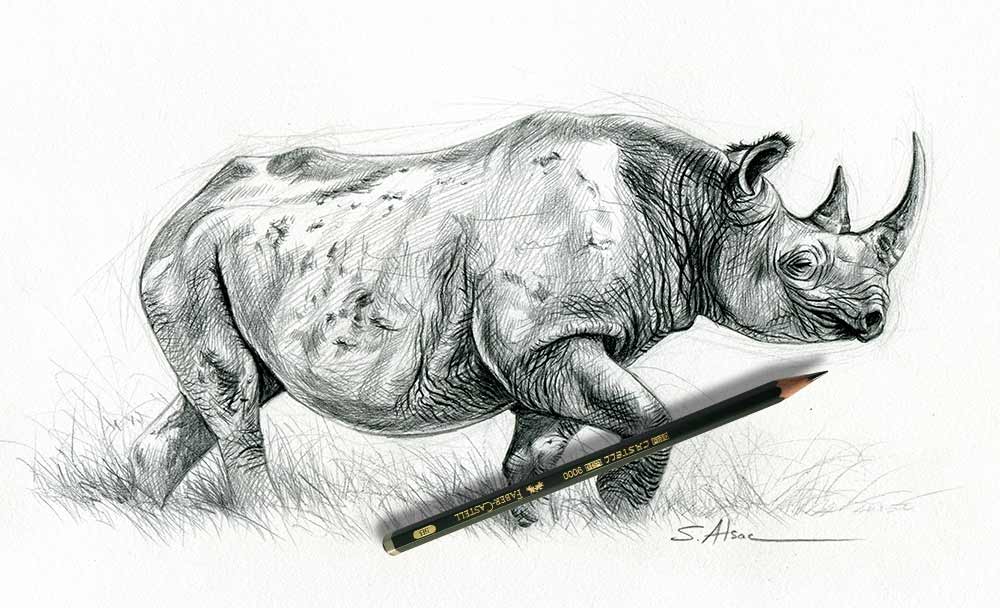 1000x608 black rhino illustration - Rhino Drawing