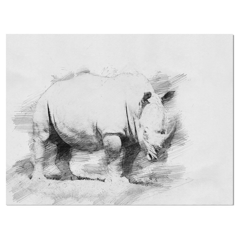 800x800 east urban home 'black and white rhino' drawing print on wrapped - Rhino Drawing