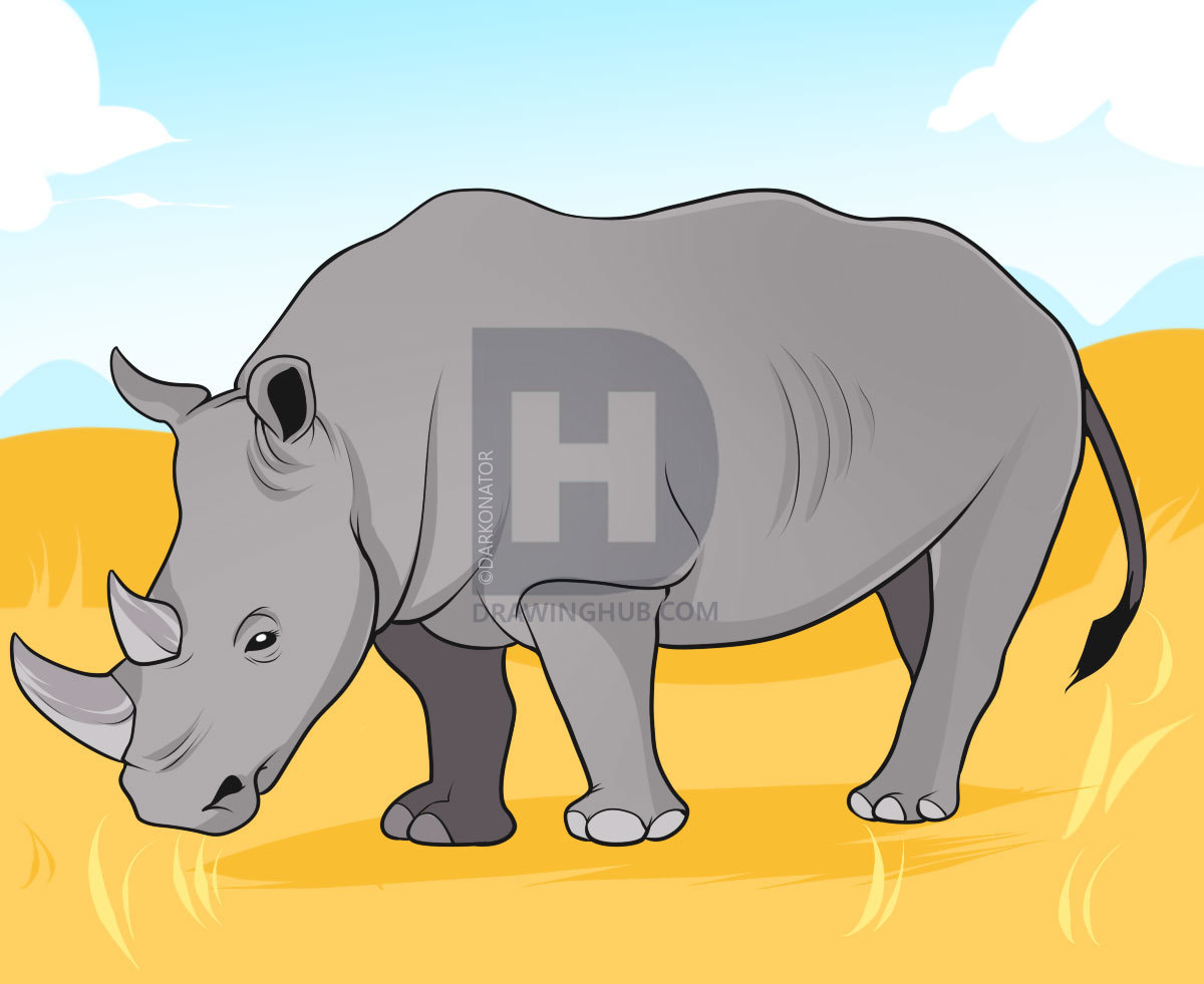 1200x981 how to draw a rhino, step - Rhino Drawing