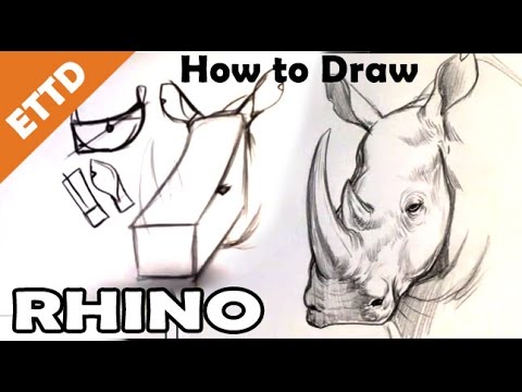 480x360 How To Draw A Rhino - Rhino Head Drawing