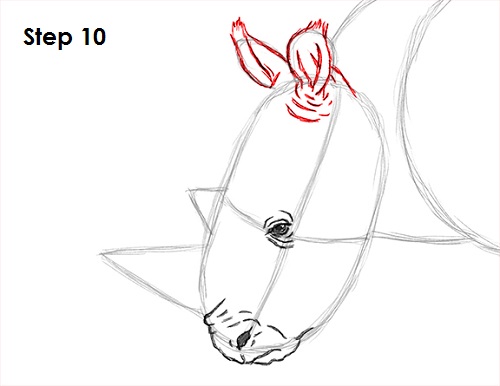 500x386 How To Draw A Rhinoceros - Rhino Head Drawing