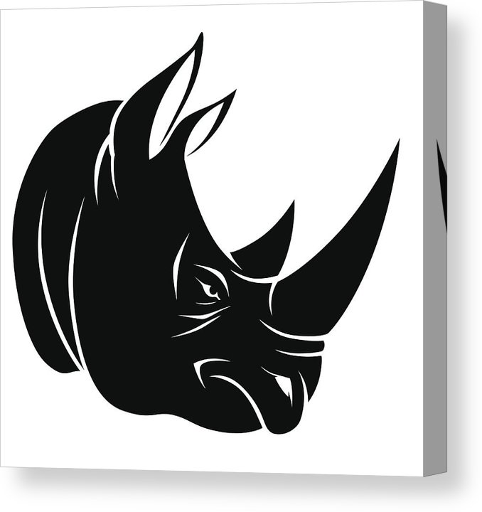 678x720 rhino head canvas print canvas art - Rhino Head Drawing