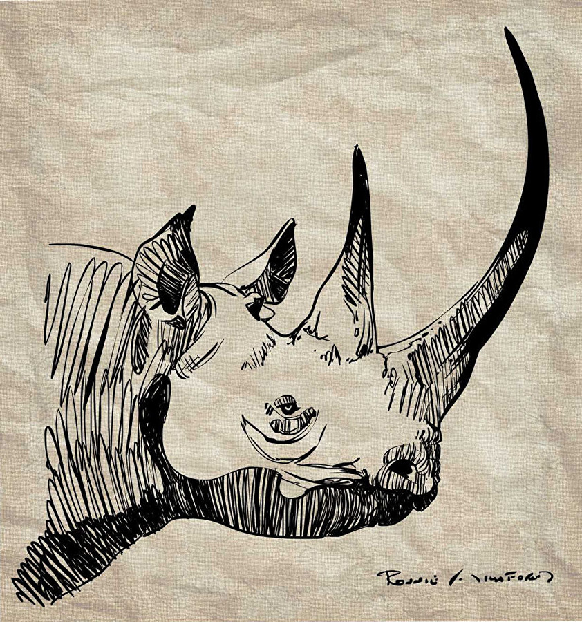 842x900 Ronnie Williford - Rhino Head Drawing