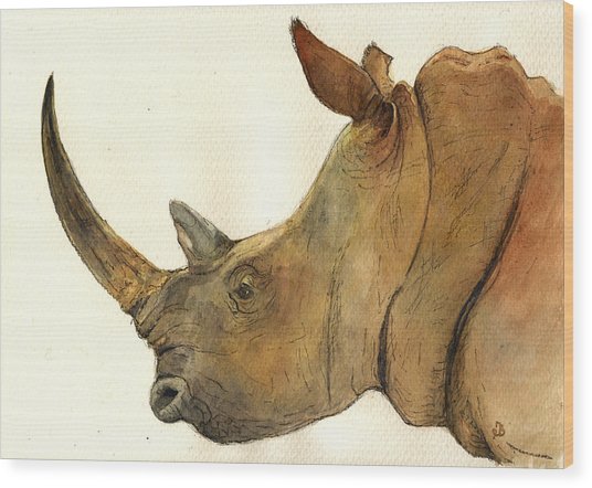 536x442 White Rhino Head Study Painting - Rhino Head Drawing