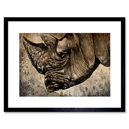 425x425 painting drawing sketch animal rhino head horn framed - Rhino Head Drawing