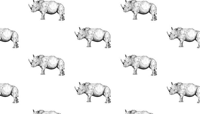 700x401 Rhino - Rhino Line Drawing