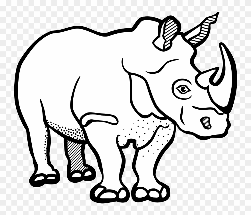 880x753 Rhinoceros Drawing Line Art Black And White Color - Rhino Line Drawing