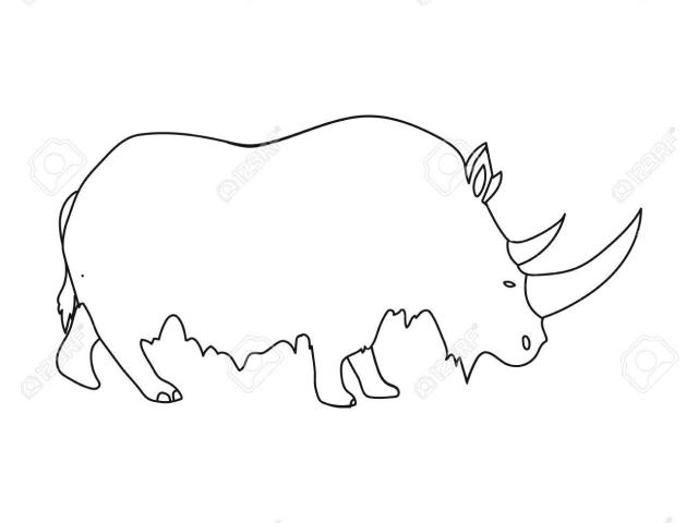 640x480 Drawn Rhino Outline - Rhino Outline Drawing